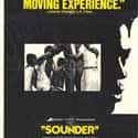 Sounder on Random Best Kids Movies of 1970s