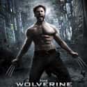 The Wolverine on Random Best Movies Based on Marvel Comics