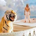 Life of Pi on Random Best Movies That Have Only One Actor (Most of Time)