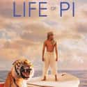 Life of Pi on Random Best Movies to Watch on Mushrooms