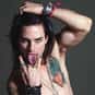 Stacee Jaxx is listed (or ranked) 38 on the list The Greatest Fictional Rock Stars
