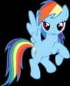 Rainbow Dash on Random Best My Little Pony: Friendship Is Magic Characters