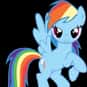 Rainbow Dash is listed (or ranked) 10 on the list Cartoons/Comics: Best Horses, Donkeys, Ponies, and Burros