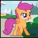 Scootaloo on Random Best My Little Pony: Friendship Is Magic Characters