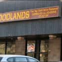 Woodlands on Random Best Indian Department Stores