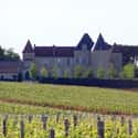 Château d'Yquem on Random Best Wineries in the World