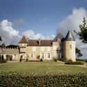 Château d'Yquem on Random Best Wineries in France