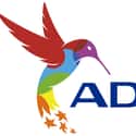 ADATA Technology Co. Ltd. on Random Best Hard Drive Manufacturers