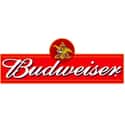 Budweiser Stag Brewing Company on Random Best Alcohol Brands