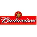 Budweiser Stag Brewing Company on Random Best Alcohol Brands