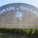 Domaine de Chevalier on Random Best Wineries in France