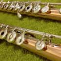 Muramatsu Flutes on Random Best Flute Brands