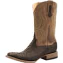 John B. Stetson Company on Random Best Cowboy Boots