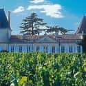 Vieux Château Certan on Random Best Wineries in France