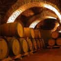 Bodegas Riojanas on Random Best Wineries in Spain