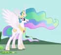 Princess Celestia on Random Best My Little Pony: Friendship Is Magic Characters