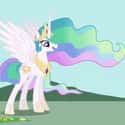 Princess Celestia on Random Best My Little Pony: Friendship Is Magic Characters