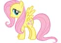 Fluttershy on Random Best My Little Pony: Friendship Is Magic Characters