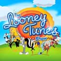 The Looney Tunes Show on Random Greatest Cartoon Theme Songs