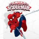 Ultimate Spider-Man on Random Greatest Animated Superhero TV Series