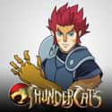 ThunderCats on Random Best Adult Animated Shows
