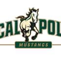 Cal Poly Mustangs on Random Best Big West Basketball Teams