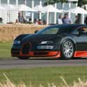 2011 Bugatti Veyron 16.4 Super Sport on Random Coolest Cars In The World