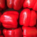 Red bell pepper on Random Tastiest Vegetables Everyone Loves Eating