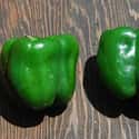 Green bell pepper on Random Tastiest Vegetables Everyone Loves Eating