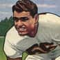 Sam Palumbo is listed (or ranked) 41 on the list The Best Green Bay Packers Linebackers of All Time