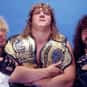 The Fabulous Freebirds is listed (or ranked) 9 on the list The Best Tag Teams in WCW History
