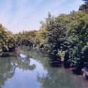 Big Piney River on Random Best American Rivers for Canoeing