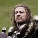 Winter Is Coming on Random 'Game Of Thrones' Season 1 Recap