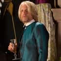 Haymitch Abernathy on Random Hunger Games SHOULD Have Looked Like In Movies