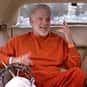 Davis is listed (or ranked) 35 on the list The Best Steve Martin Characters of All Time
