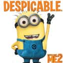 2013   Despicable Me 2 is a 2013 computer animated comedy film written by Ken Daurio and Cinco Paul.
