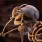 Elder Gutknecht is listed (or ranked) 28 on the list The Most Notorious Skeleton Characters of All Time