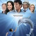 Dolphin Tale on Random Best Movies For Young Girls