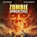 Zombie Apocalypse on Random Best Zombie Movies