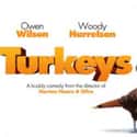 Free Birds on Random Best Movies About Thanksgiving