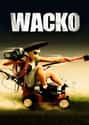 Wacko on Random Best Slasher Parody Movies