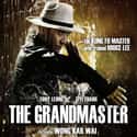 The Grandmaster on Random Best Martial Arts Movies Streaming on Netflix