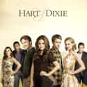 Hart of Dixie on Random TV Shows Canceled Before Their Time