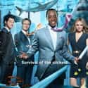 House of Lies on Random Best Shows to Marathon on a Plane