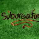 Suburgatory on Random Greatest TV Shows About Small Towns