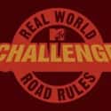 Real World/Road Rules Challenge on Random Season of 'The Challenge'