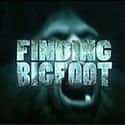 Finding Bigfoot on Random Best Current Animal Planet Shows