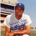 Tommy Davis on Random Best Los Angeles Dodgers