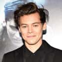 age 25   Harry Edward Styles (born 1 February 1994) is an English singer, songwriter, and actor.