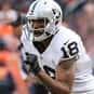 Andre Holmes is listed (or ranked) 19 on the list The Best Oakland Raiders Wide Receivers of All Time